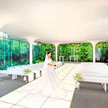 ラヴィーナ姫路 チェロ奏者、バイオリニスト、オルガニストによる荘厳な生演奏です