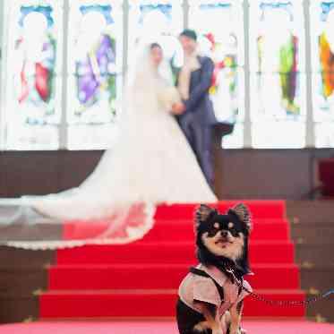 KOBE St.MORGAN CHURCH(神戸セントモルガン教会) ペットの参加も可能