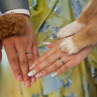 リヴァージュブラン 安心のサポート体制と心温まるオリジナル演出で、ペットとの特別な一日が叶います