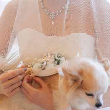 リヴァージュブラン 安心のサポート体制と心温まるオリジナル演出で、ペットとの特別な一日が叶います