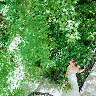 アプローズスクエア 東京迎賓館 紅葉の木漏れ日がさわやかな印象