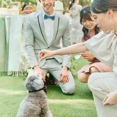 芝生のガーデンだからこそワンちゃんも過ごしやすい