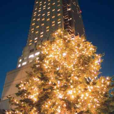 セルリアンタワー東急ホテル クリスマスには街中が美しくライトアップ