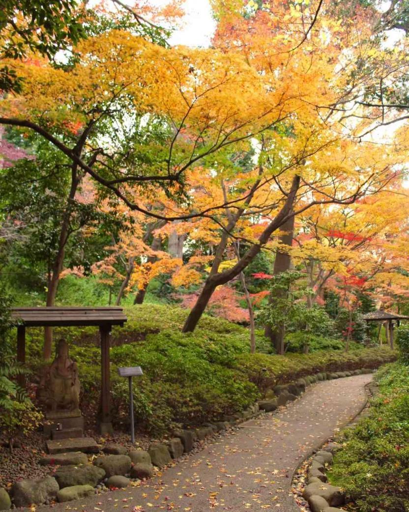 シェラトン都ホテル東京 ガーデン