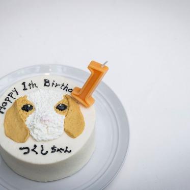 旧石丸邸 ガーデンテラス広尾 ワンちゃん用のケーキも作成可能です
