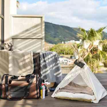 THE VILLAS NAGASAKI 披露宴中のワンちゃんのハウス