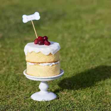 THE VILLAS NAGASAKI ワンちゃん用のケーキ