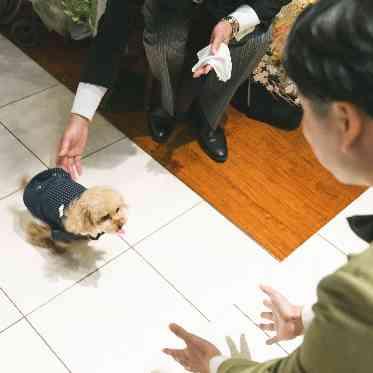 THE VILLAS NAGASAKI ペット婚も承っております