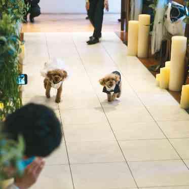 THE VILLAS NAGASAKI ペット婚も承っております