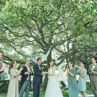 迎賓館 印象的なシンボルツリーの下でご家族様とのお写真を残していただけます