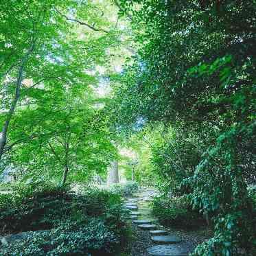旧桜宮公会堂 時代が生んだ本物のガーデンがふたりとゲストをお出迎え