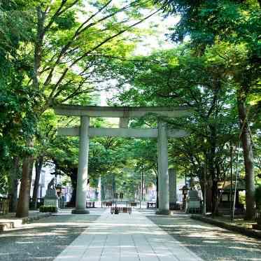 大國魂神社　結婚式場 府中駅まで続くけやき並木の参道