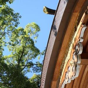 大國魂神社　結婚式場 深緑　青空広がる境内