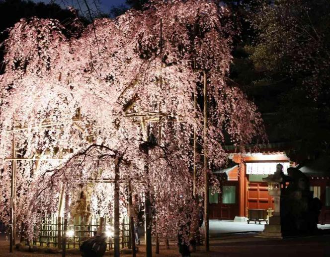 大國魂神社　結婚式場 ガーデン