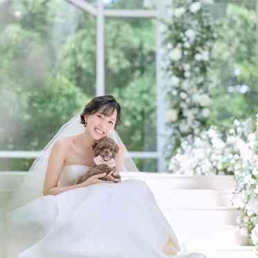 愛犬との時間もつくれる