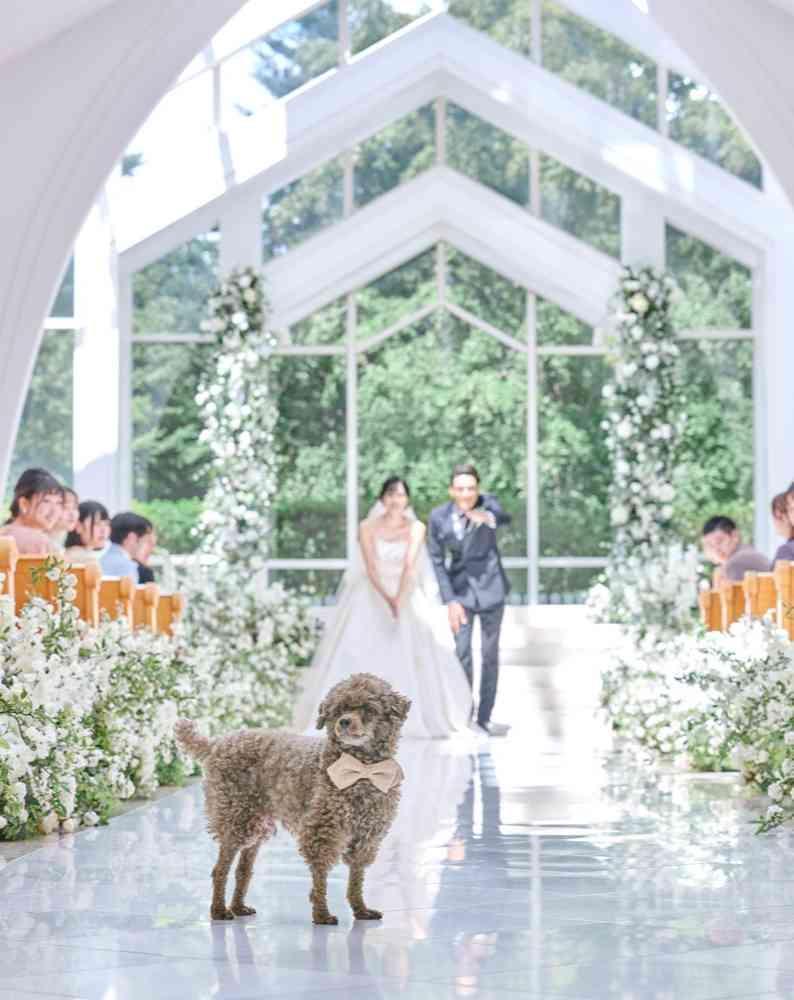 アートグレイス フォレスト迎賓館 挙式会場