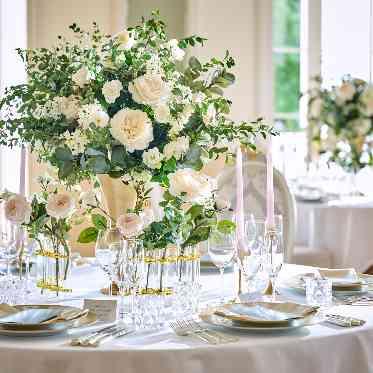 白グリーンのナチュラルなコーディネイトもおすすめ