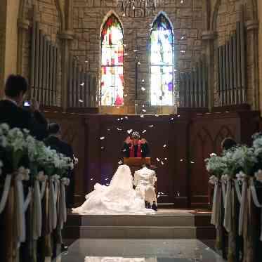 フェザーシャワー