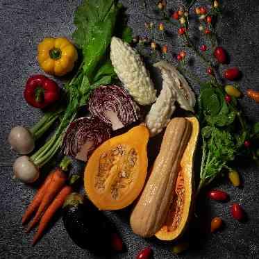 SARA 旬の食材を新鮮なまま使用