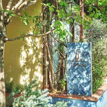 南青山ル・アンジェ教会 木の温もり・自然光・緑が彩る