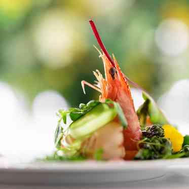 川原町倶楽部 ラ・ルーナ ピエーナ <エルフラットグループ> 甘エビのサラダ仕立て