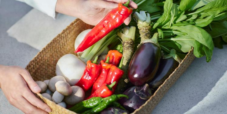 KOTOWA 京都 八坂（コトワ京都八坂） 料理