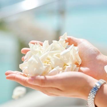 ホワイトアロウチャペル/アールイズ・ウエディング 祝福のフラワーシャワー