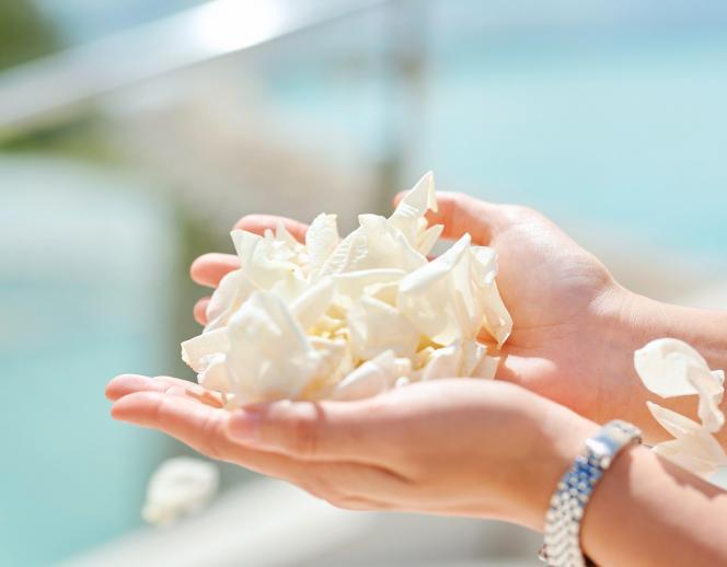 ホワイトアロウチャペル/アールイズ・ウエディング 外観