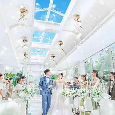 季節・気温関係なくオールシーズンフラワーシャワー可能