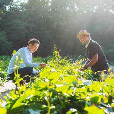 KOTOWA 鎌倉 鶴ヶ岡会館 契約農家からの仕入れ、地産地消にこだわる