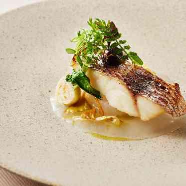 KOTOWA 鎌倉 鶴ヶ岡会館 近海で獲れた旬魚　和出汁に浮かべて