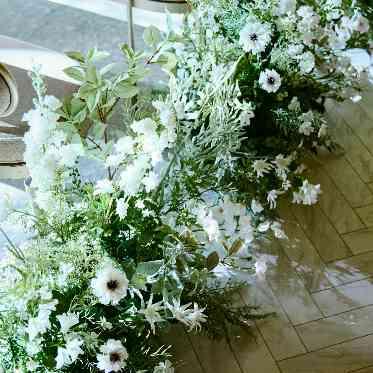 ニーズ神宮前 by T&G WEDDING(旧 アルモニーソルーナ表参道) 