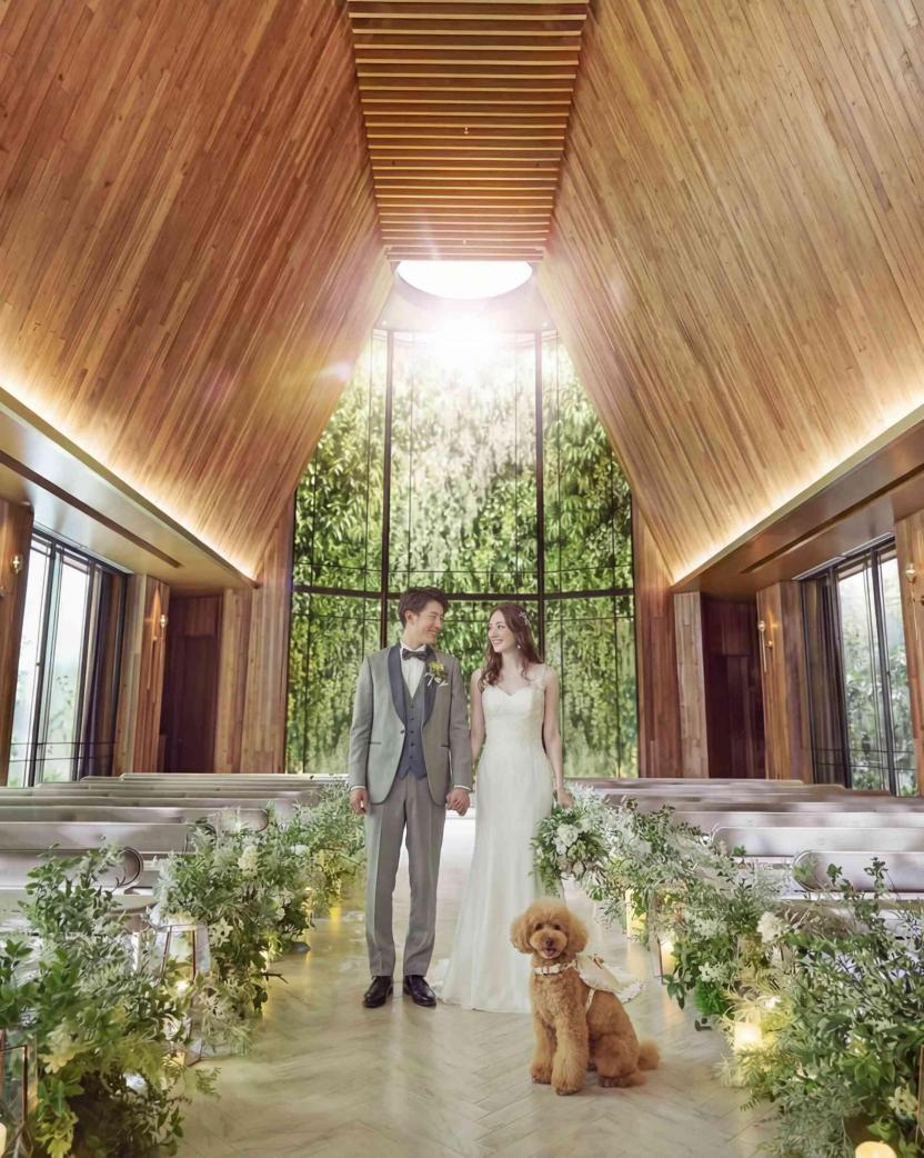 アルモニーソルーナ表参道/テイクアンドギヴ・ニーズウェディング 挙式会場