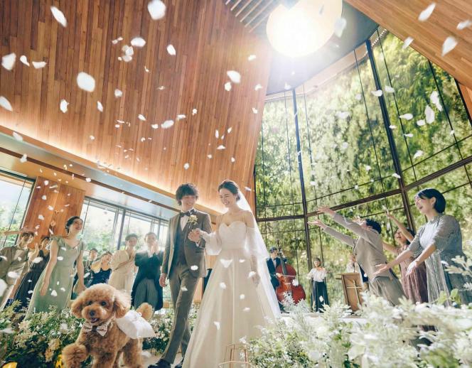 アルモニーソルーナ表参道/テイクアンドギヴ・ニーズウェディング 挙式会場