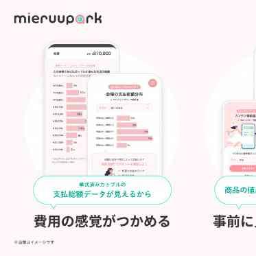 アルモニーソルーナ表参道/テイクアンドギヴ・ニーズウェディング mieruuparkを使って結婚式費用を「見える化」