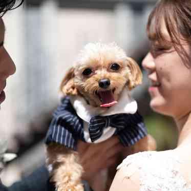 クッチーナ パージナ 大切なワンちゃんとも一緒に過ごすガーデンセレモニー