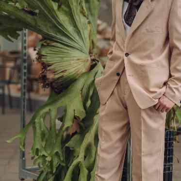 クッチーナ パージナ 大きな植物もたくさん