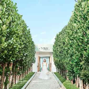 白の教会/アールイズ・ウエディング 白の教会