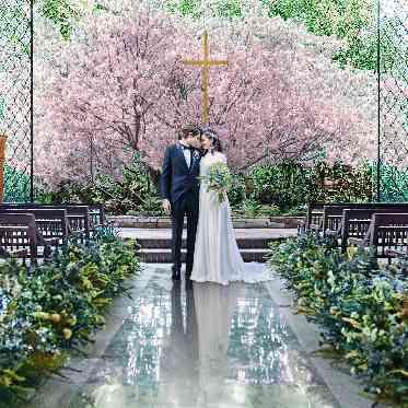 InStyle wedding KYOTO/テイクアンドギヴ・ニーズウェディング 春を彩る桜チャペル