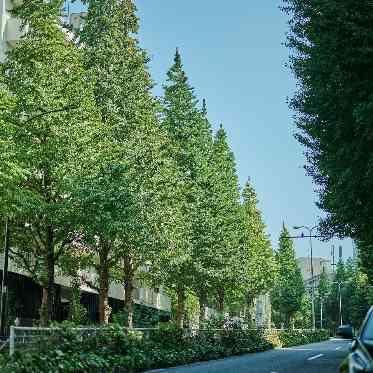 THE TENDER HOUSE(ザ テンダーハウス) 週末も人通りの落ち着いたプラチナ通り