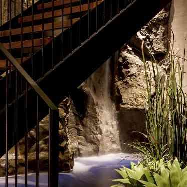 THE TENDER HOUSE(ザ　テンダーハウス) 館内に水が流れるという斬新な発想とアイディア・デザインは唯一無二の世界。