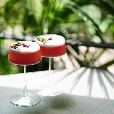 THE TENDER HOUSE(ザ テンダーハウス) 開放感あるテラスで楽しむカクテルタイム