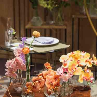 コーディネート例