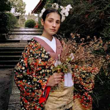 総柄の色とりどりな菊をあしらった豪華な1着