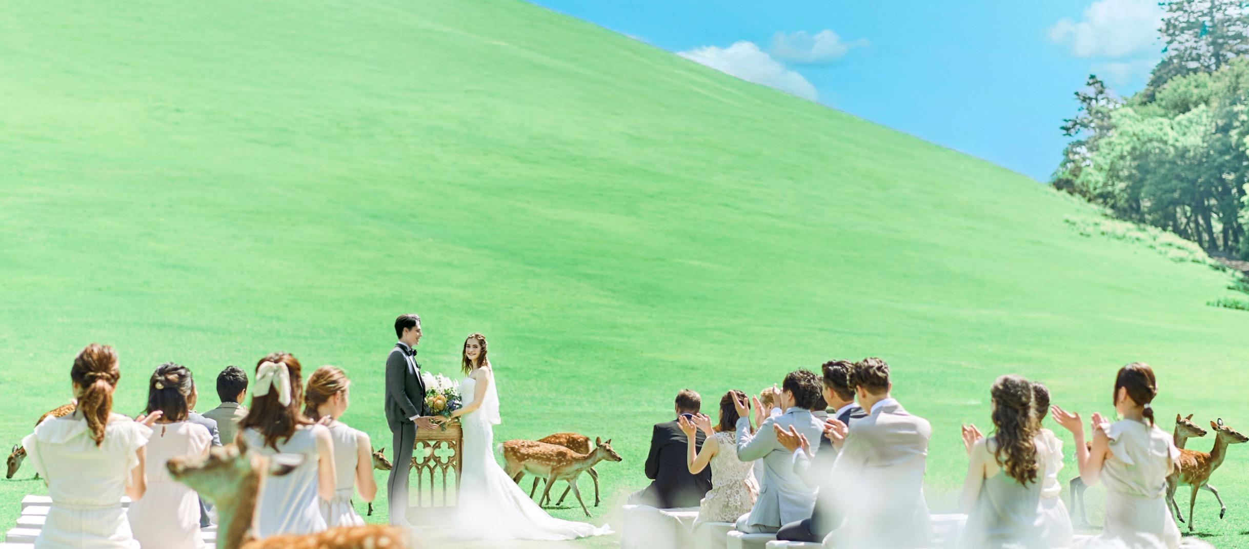 写真・フォトギャラリー：THE HILLTOP TERRACE NARA（ザ・ヒルトップ