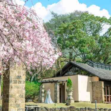 THE HILLTOP TERRACE NARA(ザ・ヒルトップテラス奈良) 春には桜が美しく咲きます