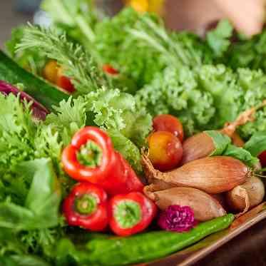 LUMIVEIL TOKYO(ルミヴェール東京) 使用するのは産地直送の厳選食材。