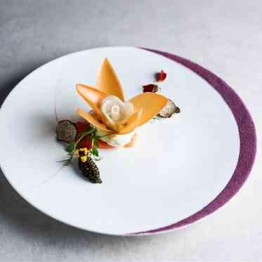 パラッツォ ドゥカーレ 麻布 星付きレストランで修業した熟練シェフが紡ぐ、フレンチと日本料理のマリアージュ