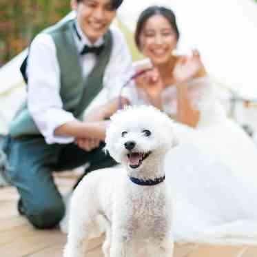 アールベルアンジェ奈良 大切な家族も挙式や写真タイムに参加♪