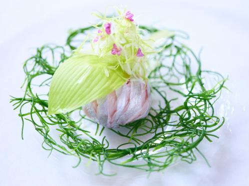 アイネスヴィラノッツェ オーシャンポートサイド 料理